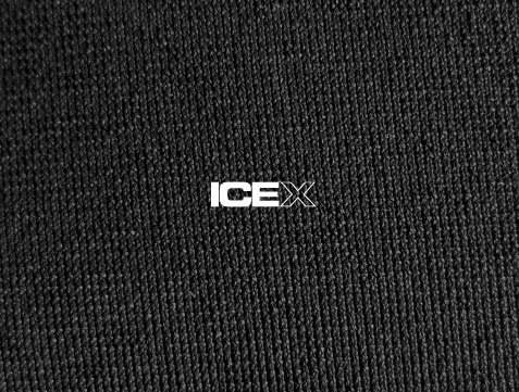 ICE X