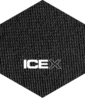 ICE X