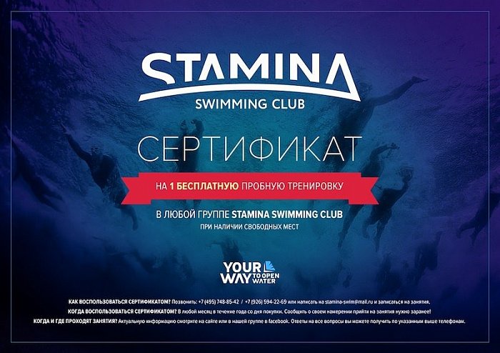 Сертификат на бесплатную тренировку в STAMINA SWIMMING CLUB